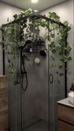 a shower with some plants growing on it