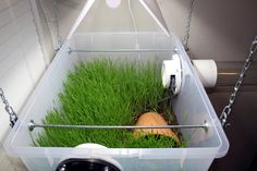 a container filled with green grass next to a toilet