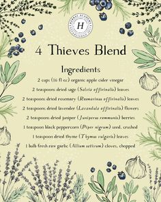 Four Thieves Vinegar, Herbal Vinegar, Magia Das Ervas, How To Dry Sage