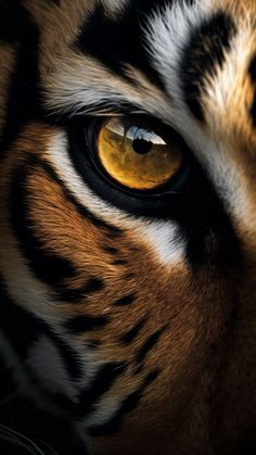 the eye of a tiger with yellow eyes