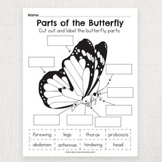 the parts of a butterfly worksheet for kids to learn and practice their language