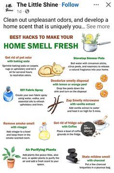 an image of the benefits of home smell