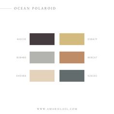 the color scheme for ocean polaroid is shown in three different colors, including black, brown