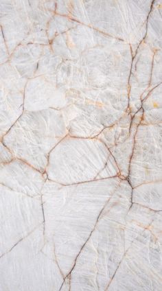 the surface of marble is white and brown with gold veining on it's edges