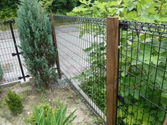 the fence is made of metal wire and has plants growing on it, along with other vegetation