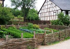 a garden with many different types of plants in the center and fence around it,