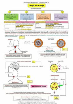 Cna Certificate, Pharmacology Mnemonics, Charting For Nurses, Med Notes, Science Board, Nursing School Essential