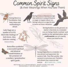 Crow Signs, Spirit Signs, Tarot Significado, Wiccan Magic, Witch Spirituality, Magic Spell Book, Grimoire Book, Wiccan Spell Book