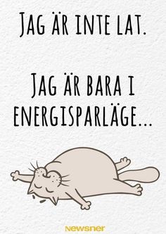 a cat laying on its back with the caption'jag ar baa i energispalage '