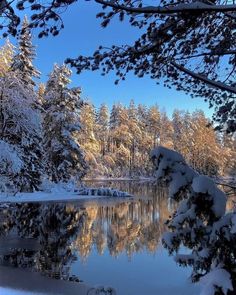 a lake surrounded by trees covered in snow