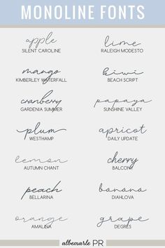 handwritten font with the words monoline fonts in blue and white, on top of