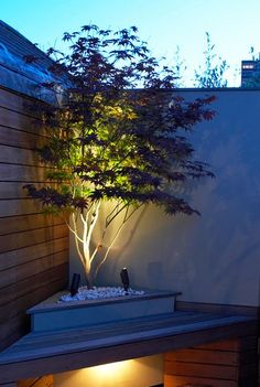 a small tree is lit up on the side of a building