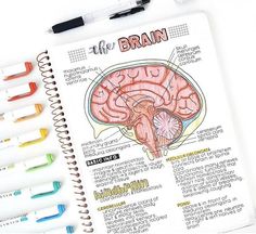 an open notebook with markers and pens next to it