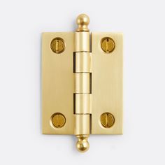 an image of a brass door hinge