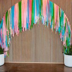 colorful streamers hanging from the ceiling in front of a wall with two potted plants