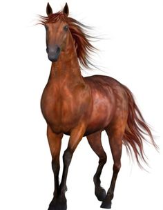 3d drawing easy Horse Drawing Tutorial, 3d Horse, Drawing Tutorials For Beginners, Fabric Wall Decals, Horse Animal, Beautiful Horse, Horse Drawing, 3d Drawings, Fabric Paper