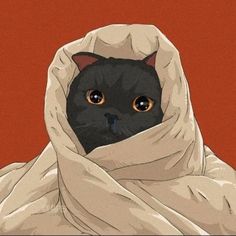 a black cat wrapped up in a blanket