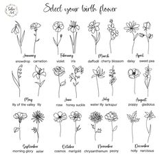 the different types of flowers that can be found in each flower species, and how to draw them