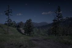 a dirt road in the middle of a forest at night with trees and mountains in the background