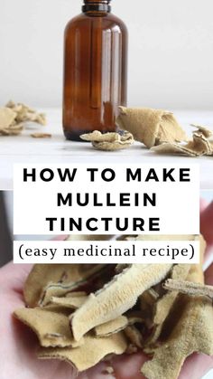 how to make mullein tincture easy medical recipe