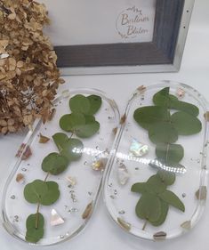 two clear trays filled with green leaves on top of a table