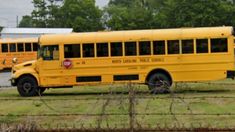 two yellow school buses parked next to each other in a parking lot with barbed wire