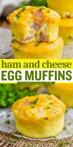 Ham and Cheese Egg Muffins are the perfect morning breakfast idea! This breakfast recipe with eggs uses simple ingredients, is easy to make, and keto friendly. Made in a muffin tin, they’re also easy to freeze. Try them today for a delicious start to your day!