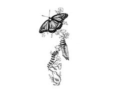 a black and white drawing of a butterfly on a branch