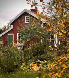 a red house sitting next to a lush green field with lots of trees in front of it