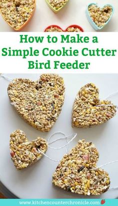 Feed the birds! A super simple step-by-step instructions for making a cookie cutter bird feeder. Fun activity for the kids at any time of the year. #kidactivity #birdfeeder #diybirdfeeder #birdseed #cookiecuttercraft #outdoorplaykids #birds #kidsactivities Bird Seed Crafts, Bird Feeders For Kids To Make, Seed Craft, Feed The Birds, Bird Seed Feeders, Bird Cookies, Homemade Bird Feeders