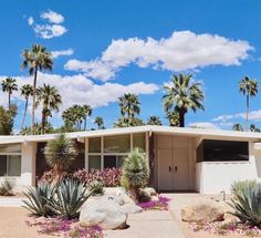 a house with palm trees and rocks in the front yard