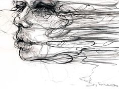 a drawing of a woman's face with hair blowing in the wind