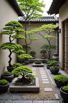 an outdoor courtyard with bonsai trees and stepping stones