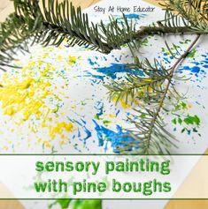 a pine tree branch with yellow and blue paint on it, next to the words sensory painting with pine boughs