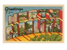 a postcard with the word greetings from south carolina written in colorful letters and images