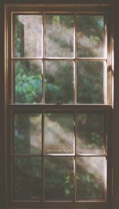 an open window with sunlight streaming through the glass and trees in the backround