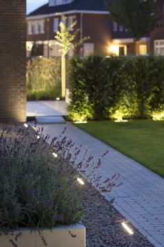 an outdoor garden with plants and lights on the side walk, along with a brick walkway