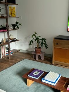 a living room with books on the coffee table and a book shelf in front of it