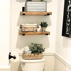 a white toilet sitting in a bathroom next to two shelves filled with potted plants