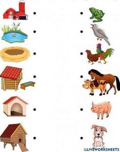 an animal worksheet with pictures and words