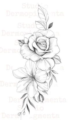 a drawing of a rose with leaves and flowers on the bottom half of its body