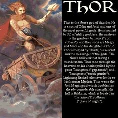 an image of a book cover with the title thor