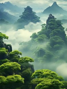 the mountains are covered in green trees and fog