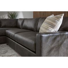 a brown leather couch with two pillows on it's back and a plant in the background