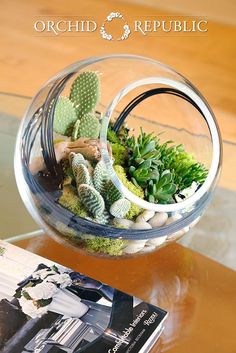 a glass vase filled with succulents and rocks on top of a table