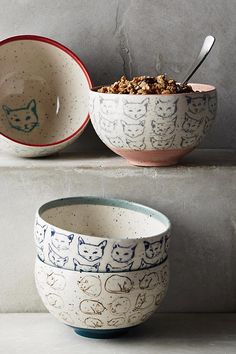 two bowls with cats drawn on them, one has a spoon in it and the other has