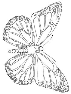 a drawing of a butterfly that is flying in the air with its wings spread out