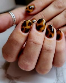 TORTIE nails - a WINTER STAPLE 🐢 What will your next nail art be...? 📍Between Te Awamutu & Cambridge 🌳 Relaxing heritage location 🧼 Hygienic & safe 🎓Fully qualified 🏆 @monaconailacademy mentor of the year (use code BECCA for a discount) 🌟 200+ five-star reviews 🎨 I LOVE nail art! #nailart #nailartinspo #nailshamilton #nailscambridge #nailinspo #buildergelmani #manicure #nailtips #nailexpert #nailsnewzealand #nails #nailsnailsnails #nailsofinstagram #nailsart #nailtechnz #nailsnz Tortuous Nails, Torties Nails, Tortie Nails, Croc Nails, Tortoise Nails, Love Nail Art, Gel Mani, Black Nail Designs