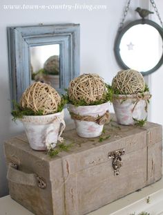 three potted plants sitting on top of an old trunk in front of a mirror