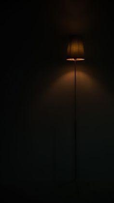 a lamp that is on in the dark with a light shining down from it's side